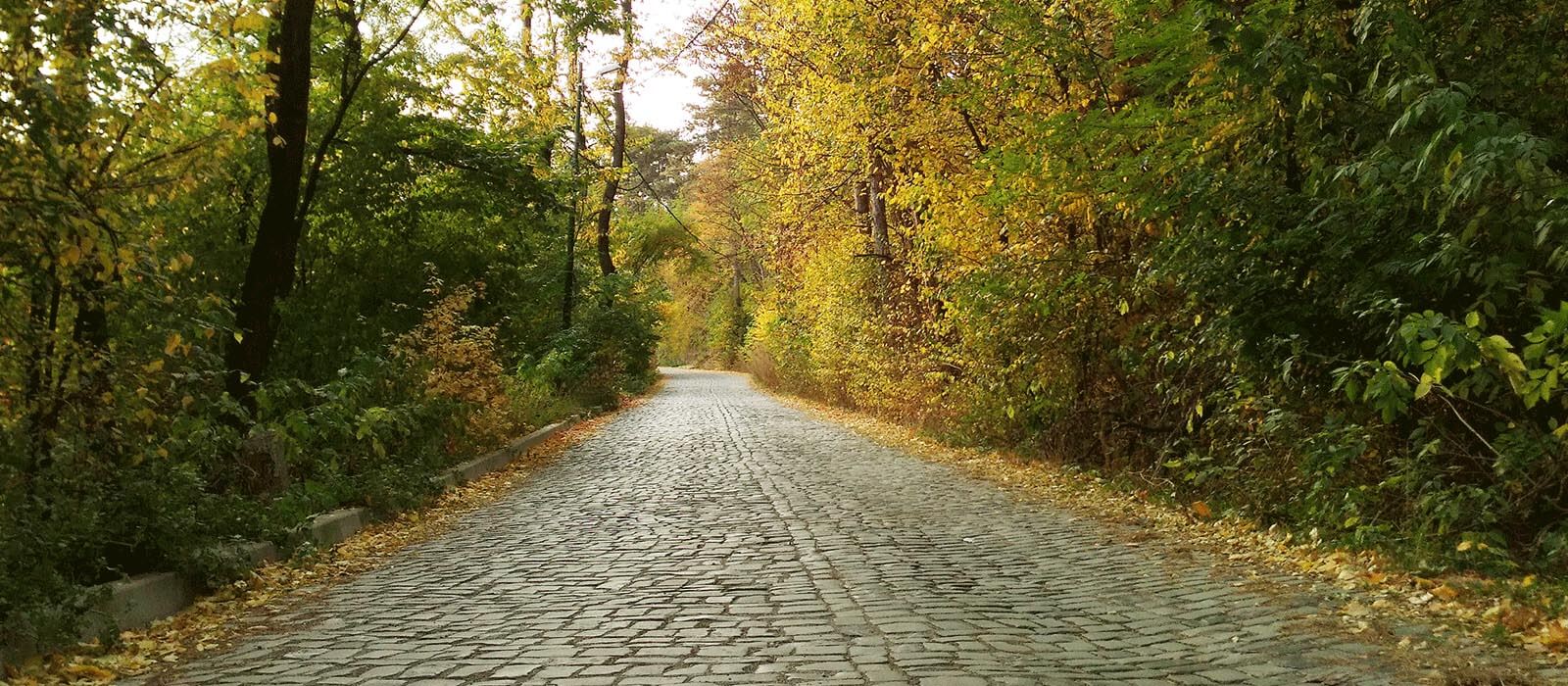 Piatra Neamț